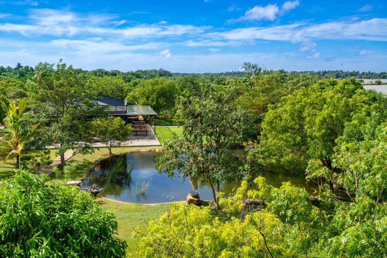 Wild Culture Yala Hotel Eksteriør billede